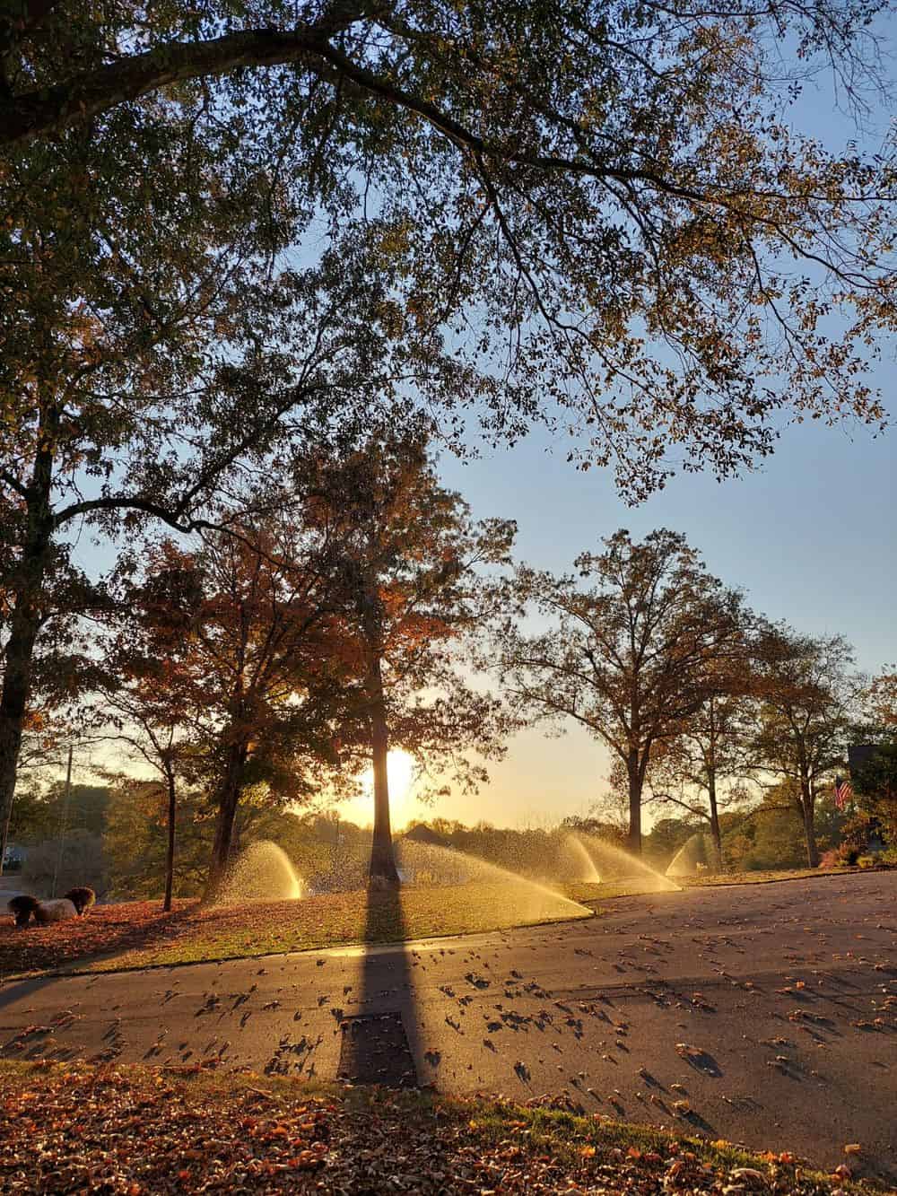 Landscape Consultation, Design, and Installation image