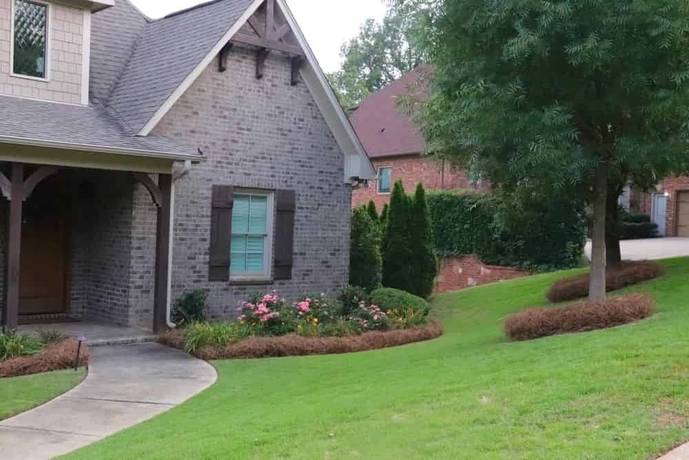 Landscape Maintenance and Renovation image