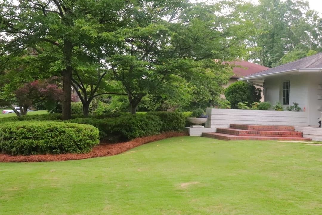 Lush green yard with ornamental shrubs and trees, featuring a brick staircase.