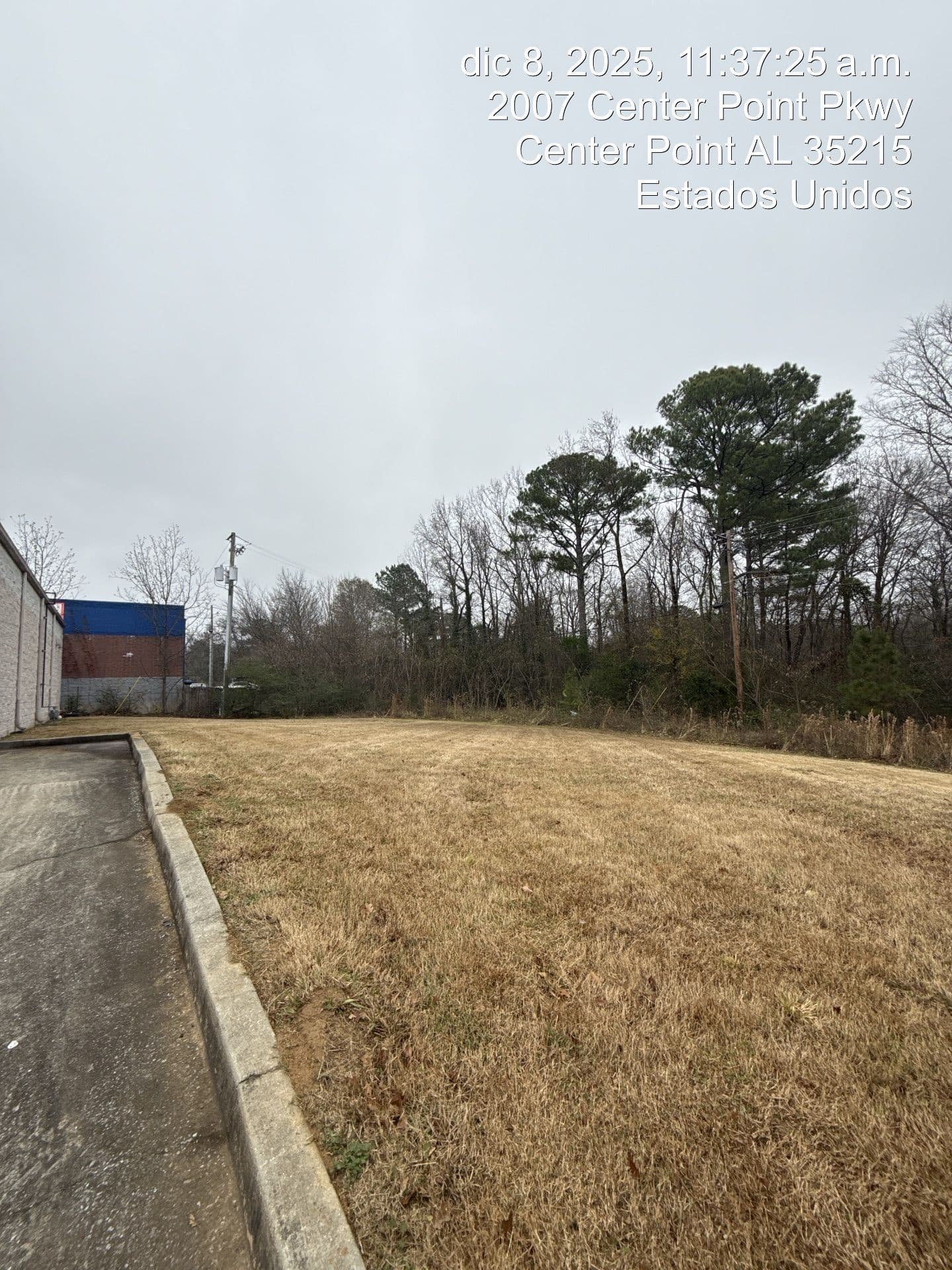 Project Year-Round Lawn Care for Local Businesses image