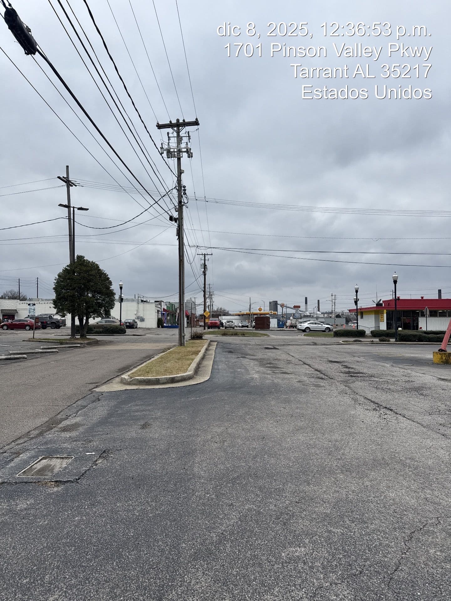 Gallery photos for Year-Round Lawn Care for Local Businesses: Image #2