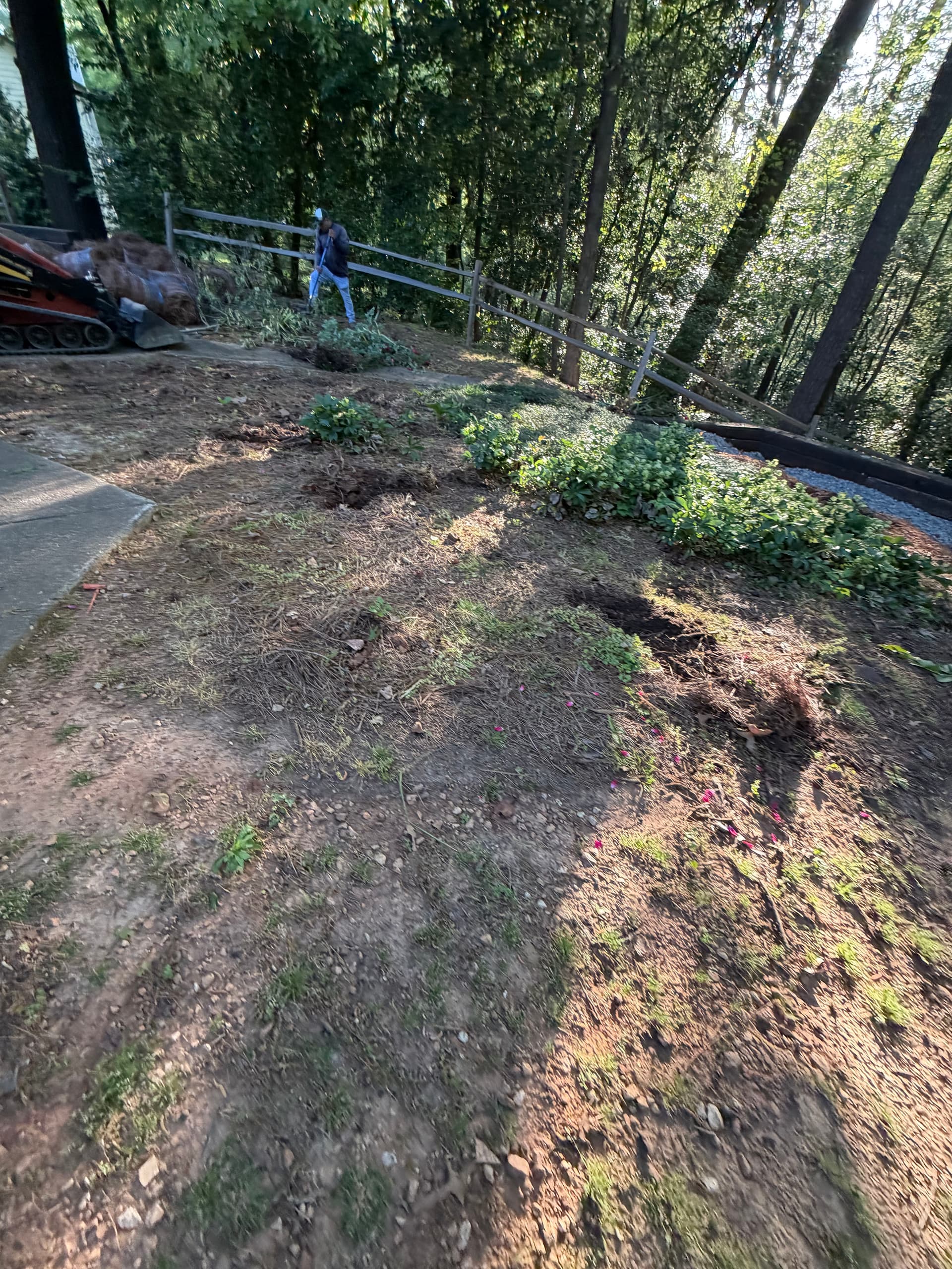 Gallery photos for Backyard Overhaul With Grading, Seed, Retaining Wall and Fresh Plantings: Image #1