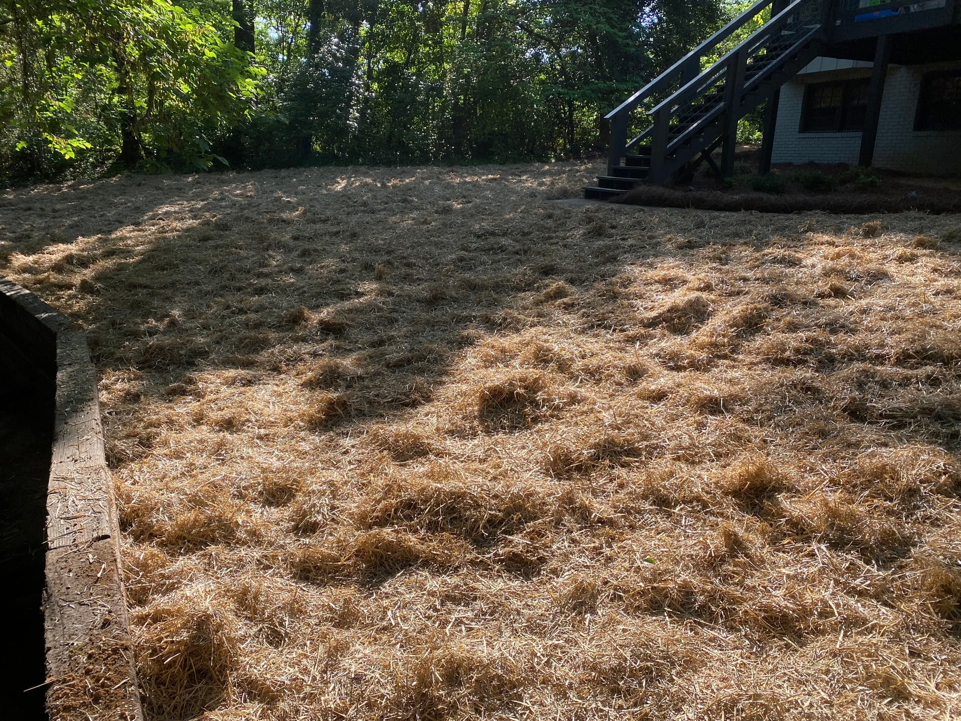 Gallery photos for Backyard Overhaul With Grading, Seed, Retaining Wall and Fresh Plantings: Image #6