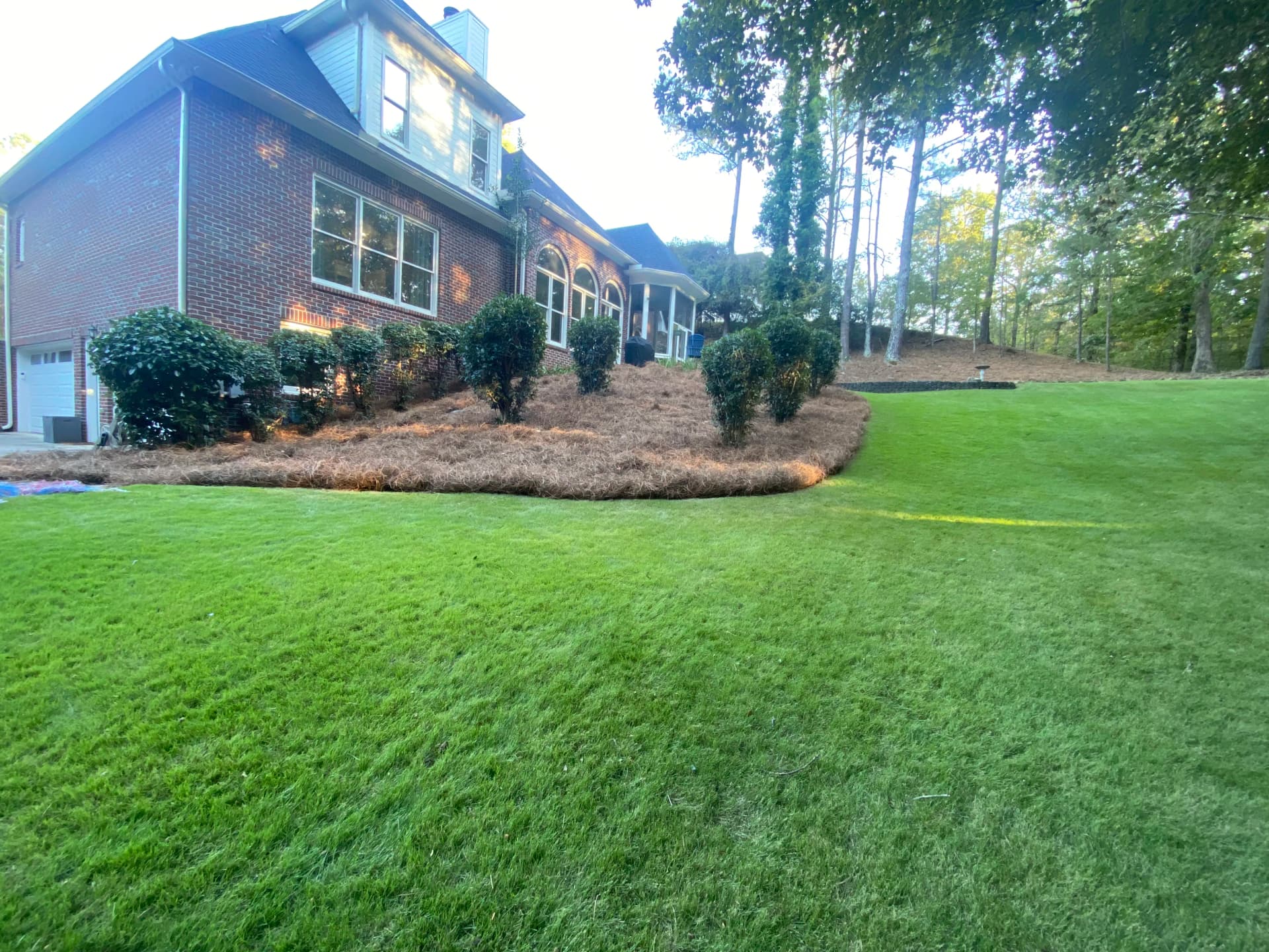 Gallery photos for Hedge Trimming and Pine Straw That Actually Makes a Difference: Image #5