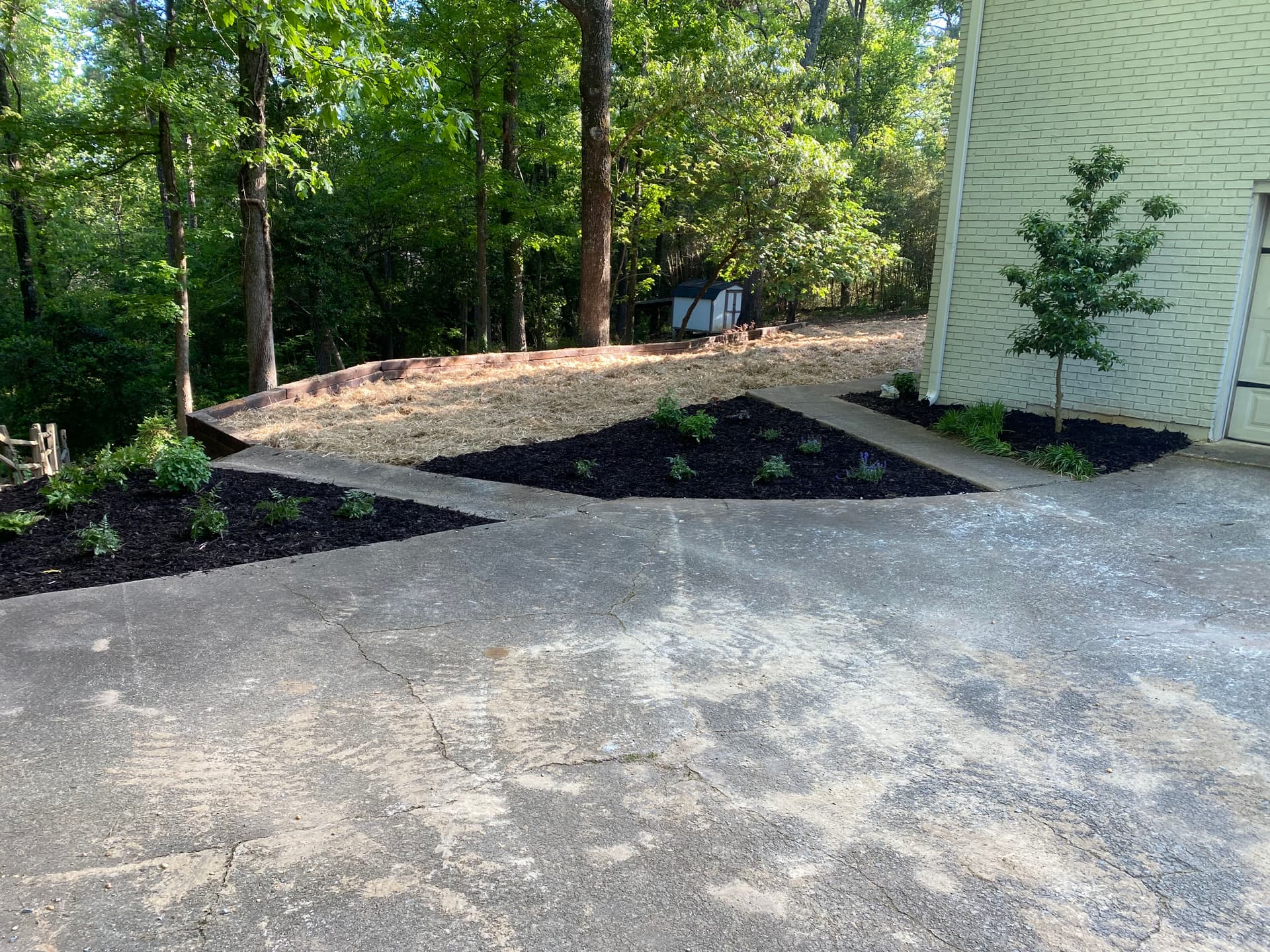 Gallery photos for Backyard Overhaul With Grading, Seed, Retaining Wall and Fresh Plantings: Image #5