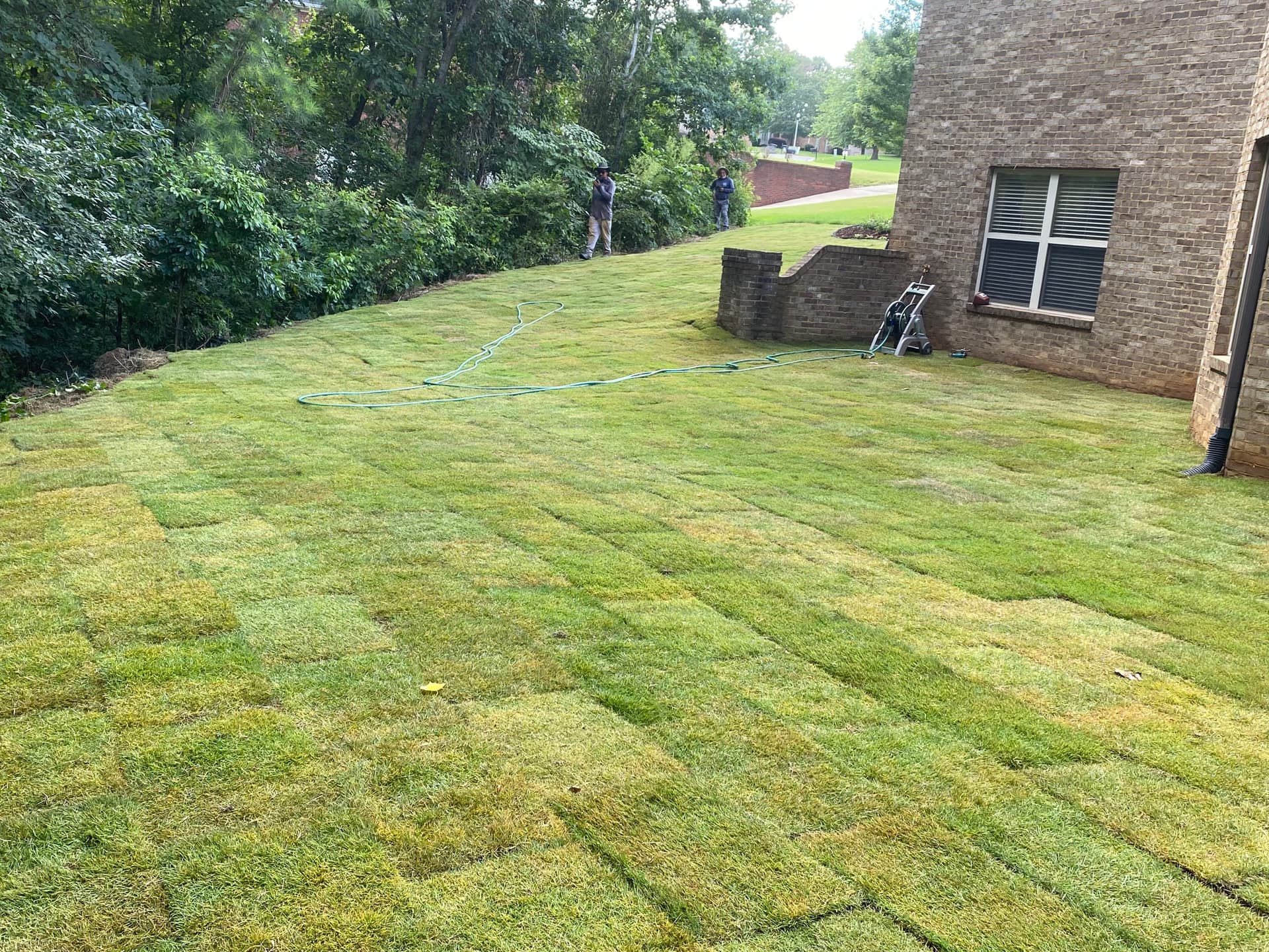 Gallery photos for Emerald Zoysia Sod and New Flower Bed Installation in Bessemer: Image #5