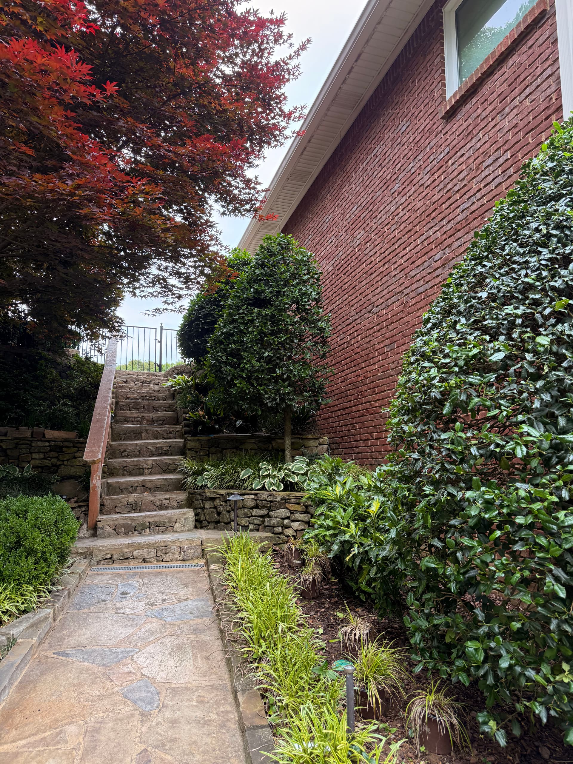 Gallery photos for Premium Landscape Maintenance That Keeps Your Yard Looking Sharp: Image #3