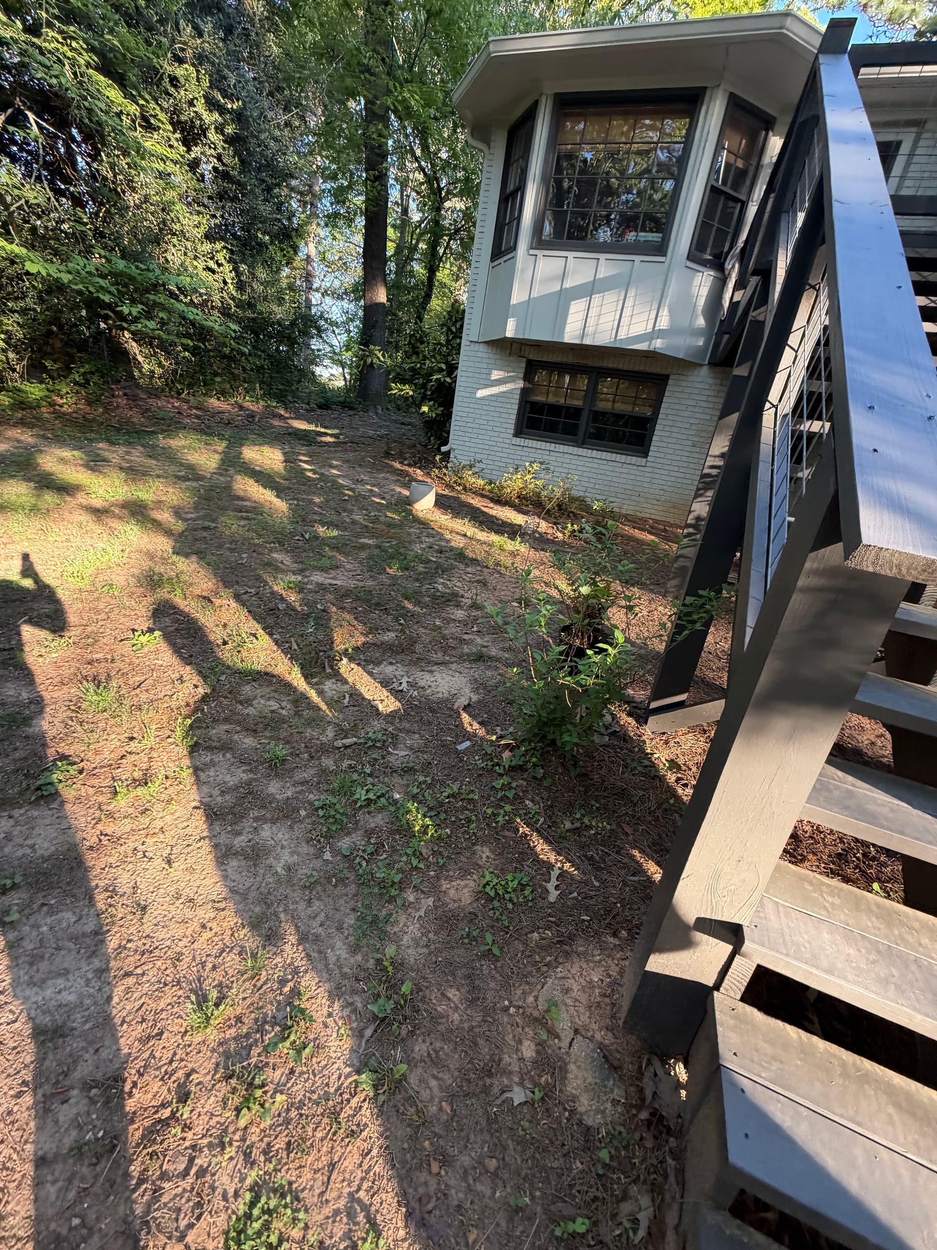 Gallery photos for Backyard Overhaul With Grading, Seed, Retaining Wall and Fresh Plantings: Image #2