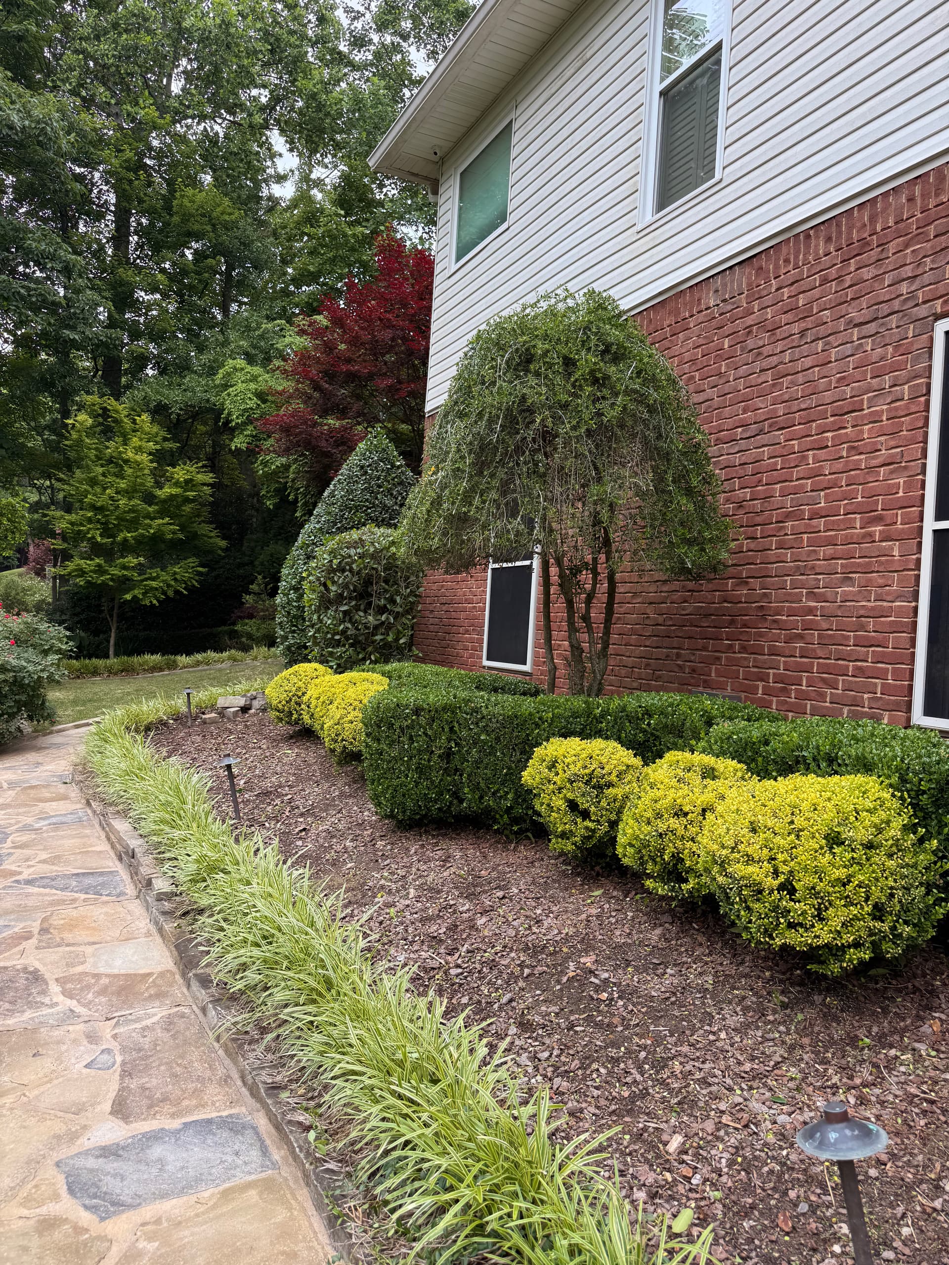 Gallery photos for Premium Landscape Maintenance That Keeps Your Yard Looking Sharp: Image #2