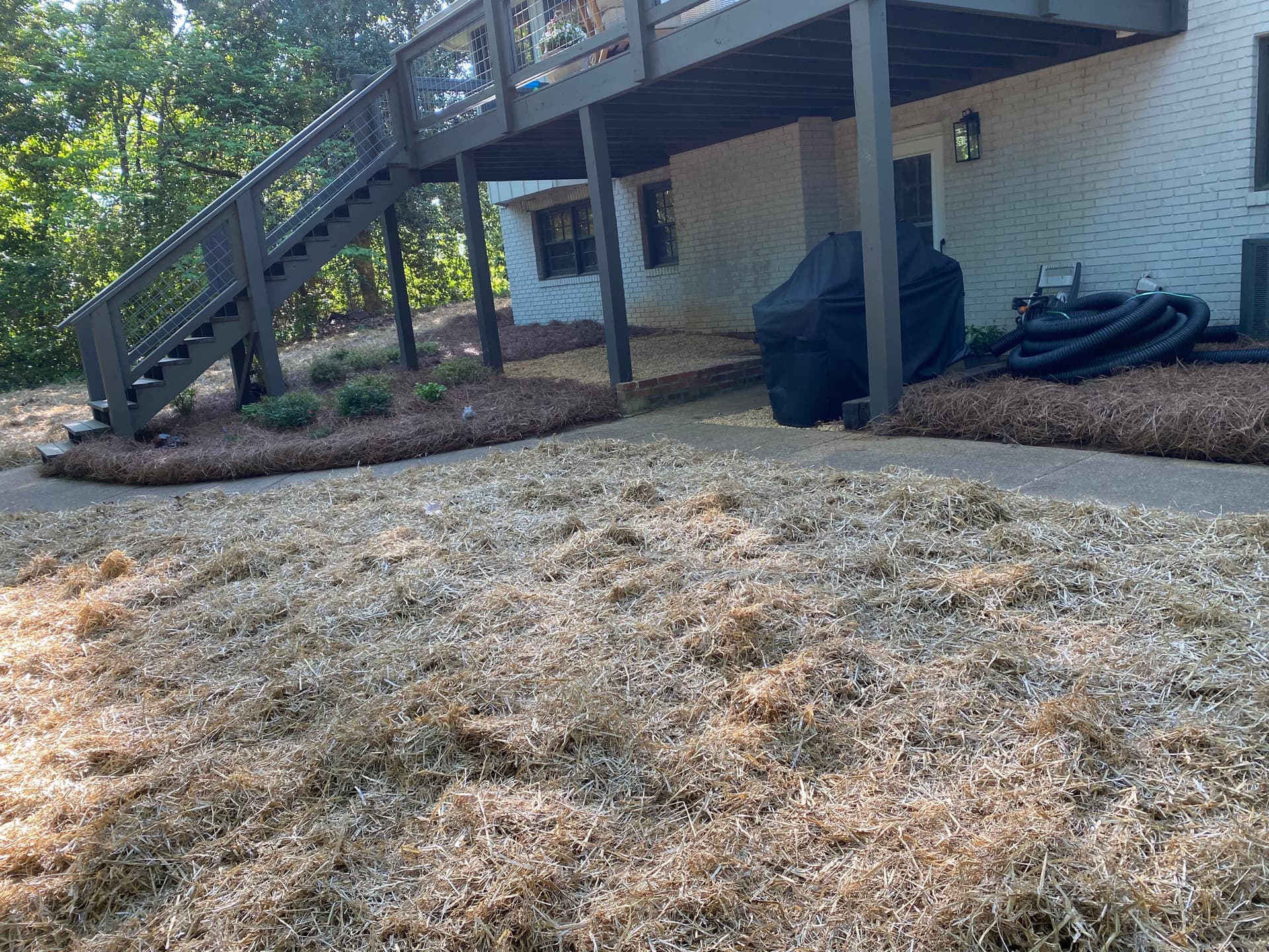 Gallery photos for Backyard Overhaul With Grading, Seed, Retaining Wall and Fresh Plantings: Image #3