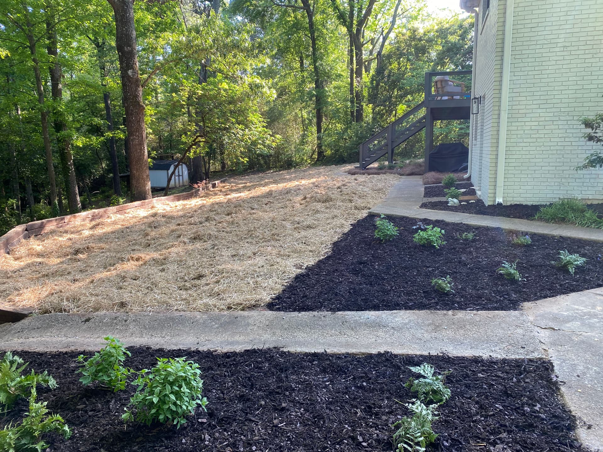 Gallery photos for Backyard Overhaul With Grading, Seed, Retaining Wall and Fresh Plantings: Image #4