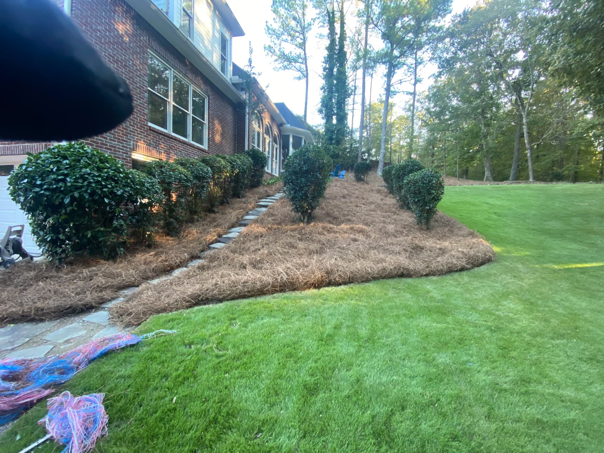 Gallery photos for Hedge Trimming and Pine Straw That Actually Makes a Difference: Image #4