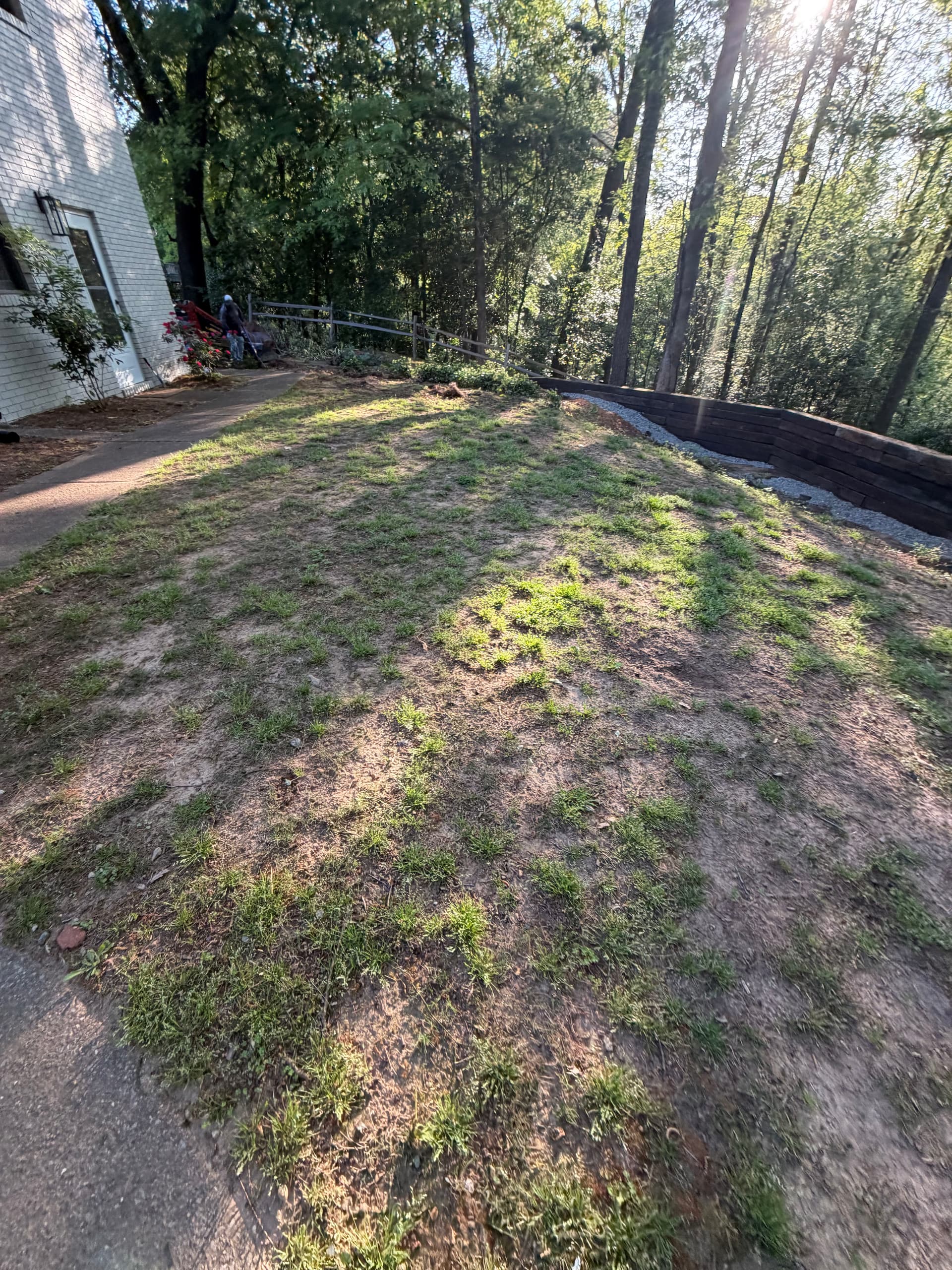 Backyard Overhaul With Grading, Seed, Retaining Wall and Fresh Plantings image