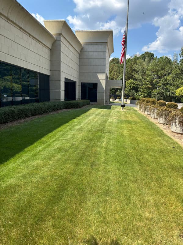 Transform Your Commercial Space with Lush Lawns image