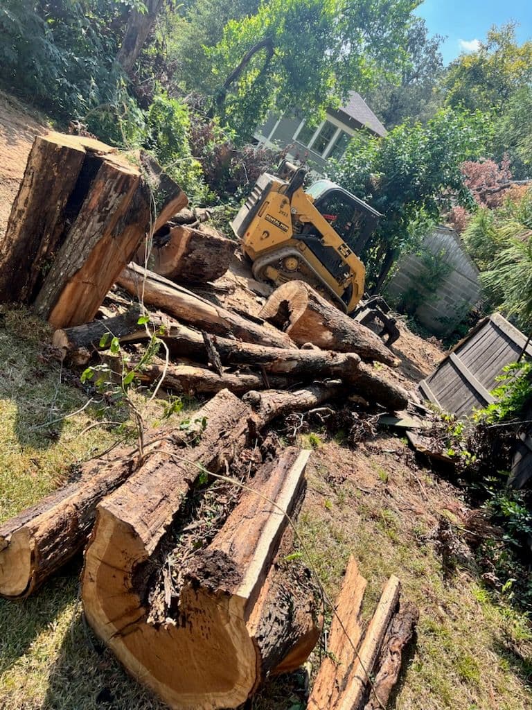 Project Efficient Tree Removal and Yard Cleaning Service image