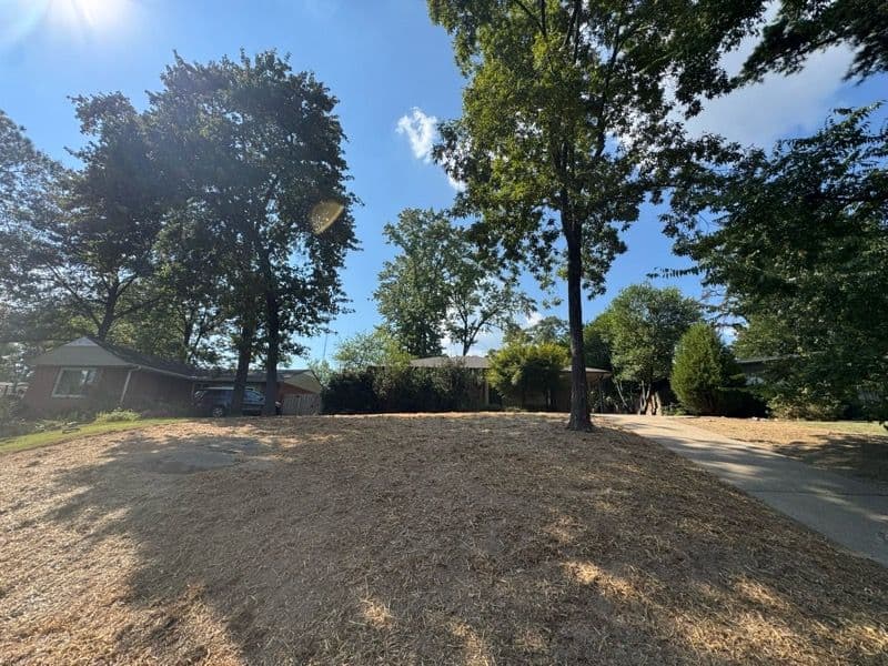 Project Complete Lawn Renovation with Centipede Grass image