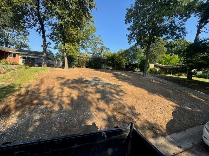Gallery photos for Complete Lawn Renovation with Centipede Grass: Image #3