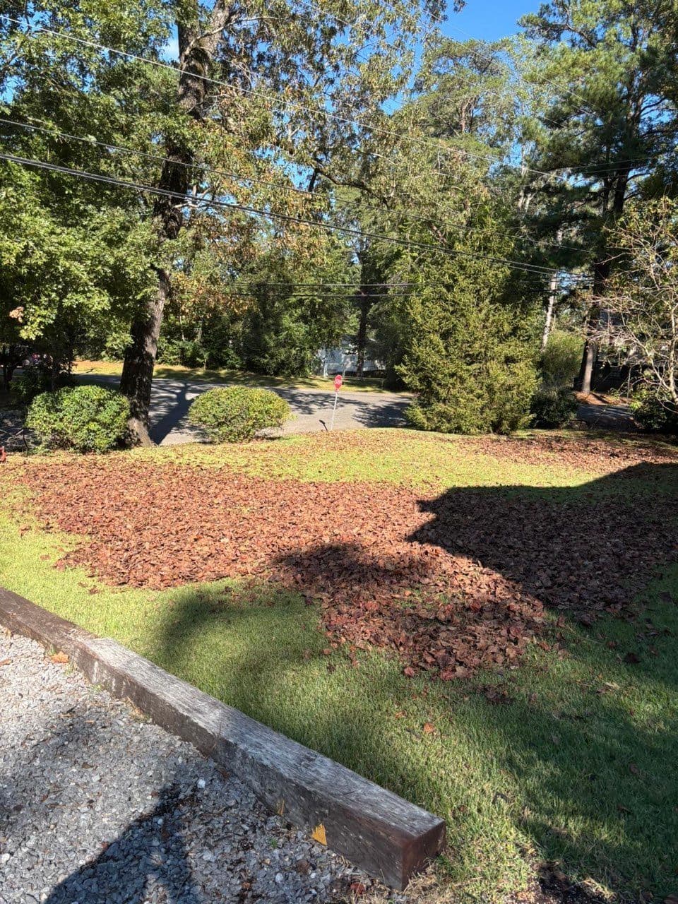 Gallery photos for Embrace the Tranquility of a Clean Lawn: Image #1