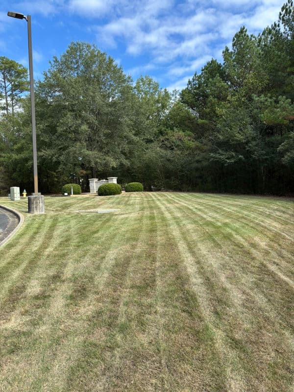 Perfectly Striped Lawn Care Magic image