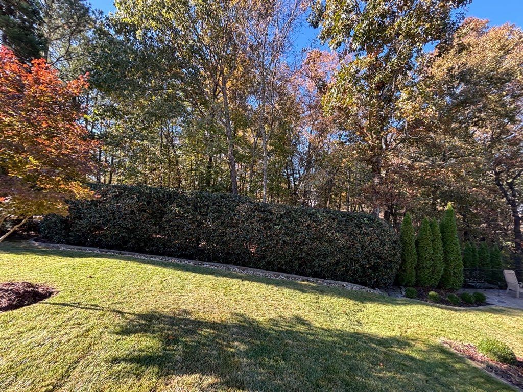 Project Elevating Your Yard with Expert Care image