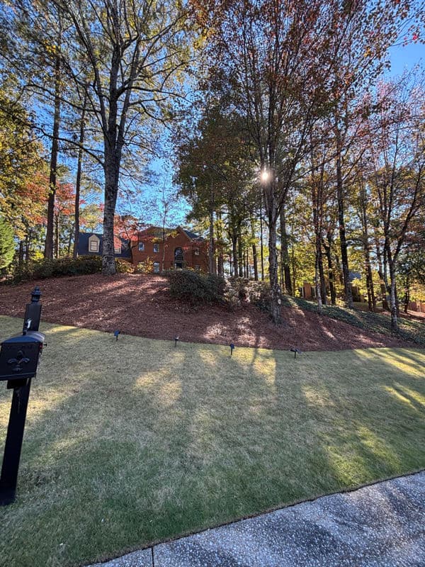 Project Welcoming Autumn with Our Fall Clean Up Services image