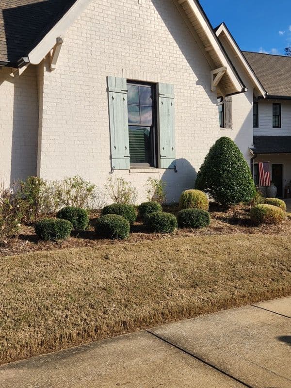 Gallery photos for Fall Yard Cleanup Ready for Thanksgiving: Image #2