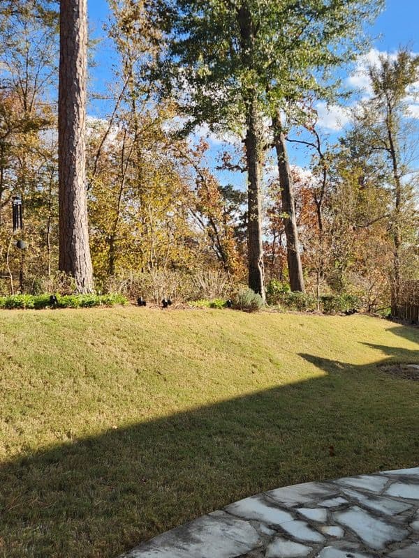 Gallery photos for Fall Yard Cleanup Ready for Thanksgiving: Image #3