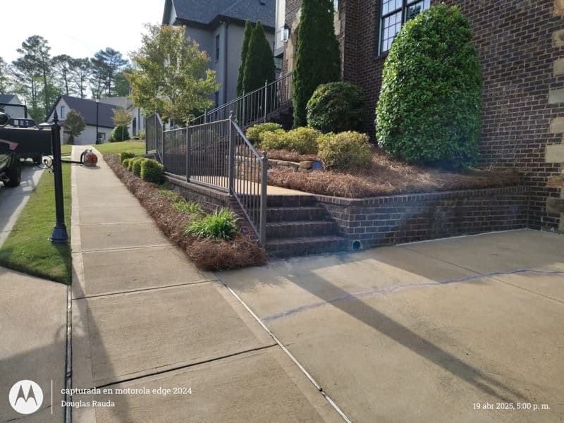 Stunning Landscape Upgrade in Vibrant Neighborhood image