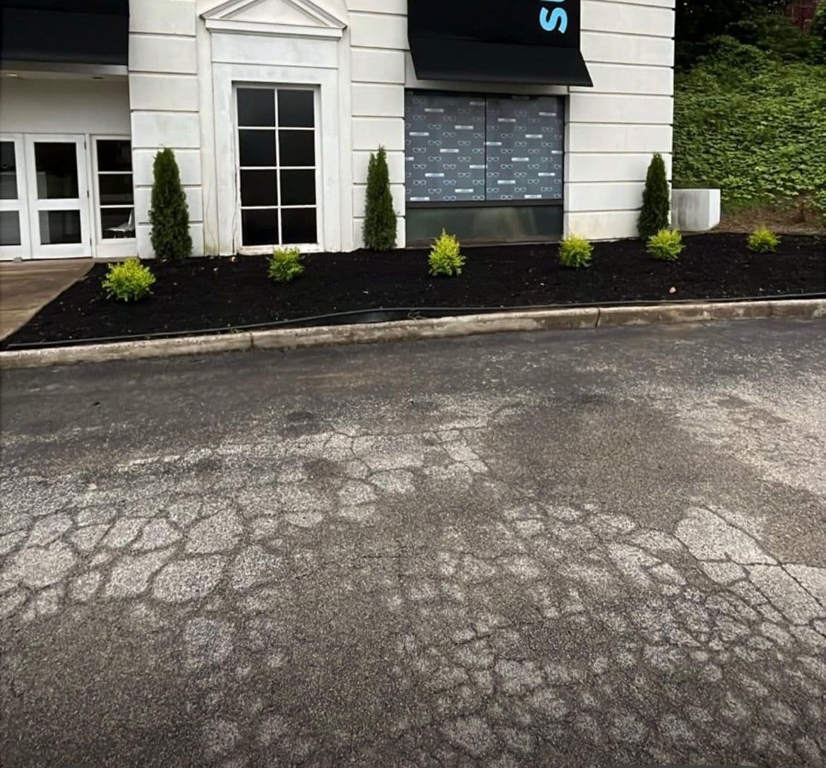 Landscape Transformation for MyEyeDr Hoover image