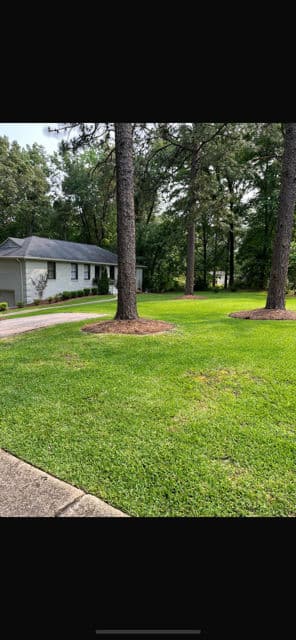 Gallery photos for Transform Your Space with Expert Lawn Care: Image #1