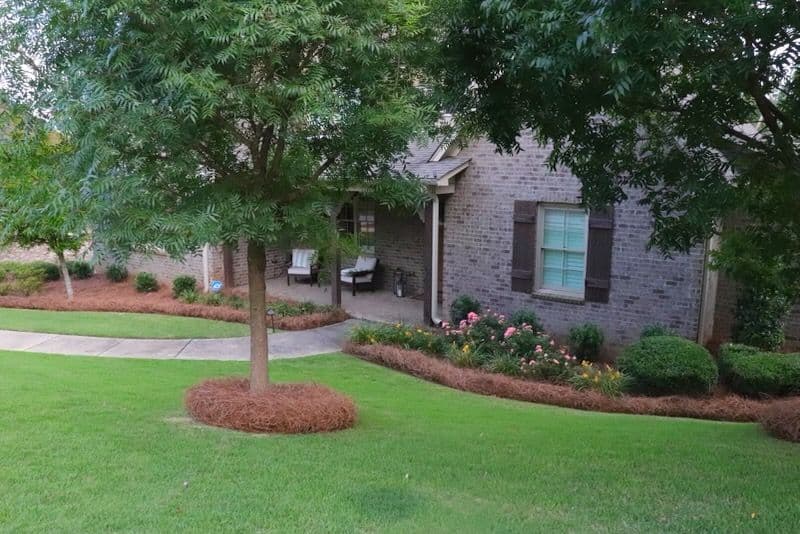 Gallery photos for Revitalize Your Landscape with Pine Straw Accents: Image #3
