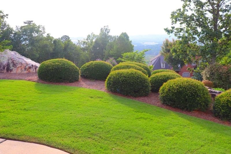 Gallery photos for Stunning Symmetrical Landscape Maintenance: Image #1