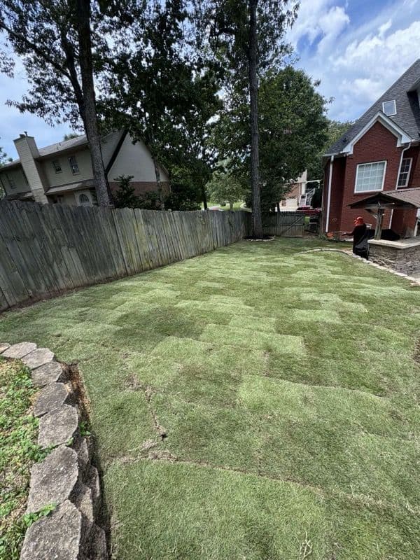 Gallery photos for Lawn Care Professionals Transform Patchy Yard: Image #1
