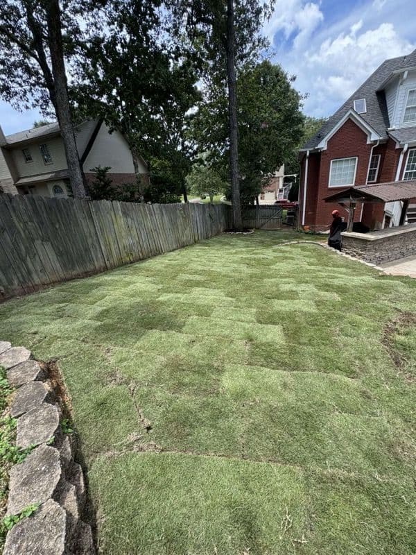 Gallery photos for Lawn Care Professionals Transform Patchy Yard: Image #2