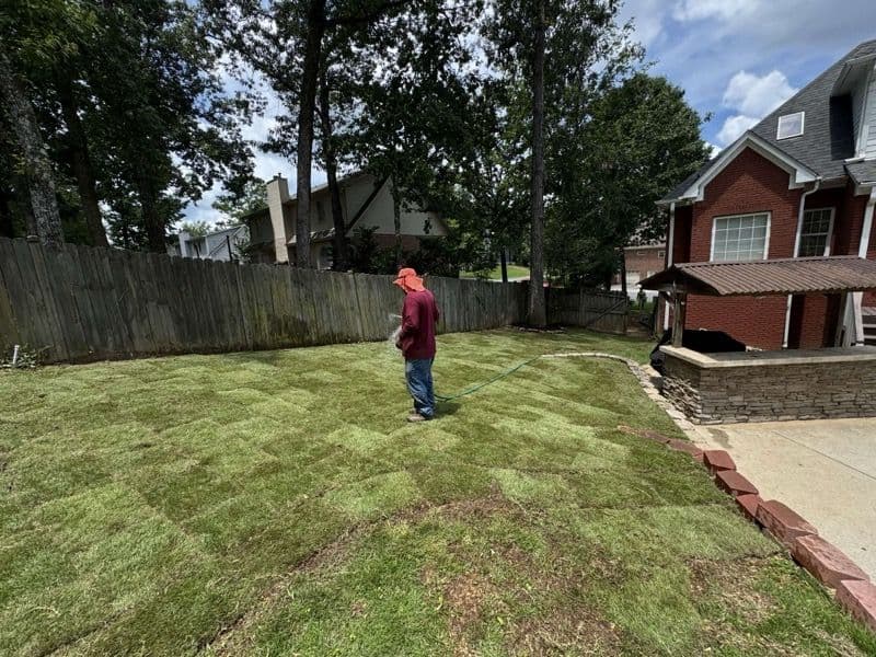 Gallery photos for Lawn Care Professionals Transform Patchy Yard: Image #3
