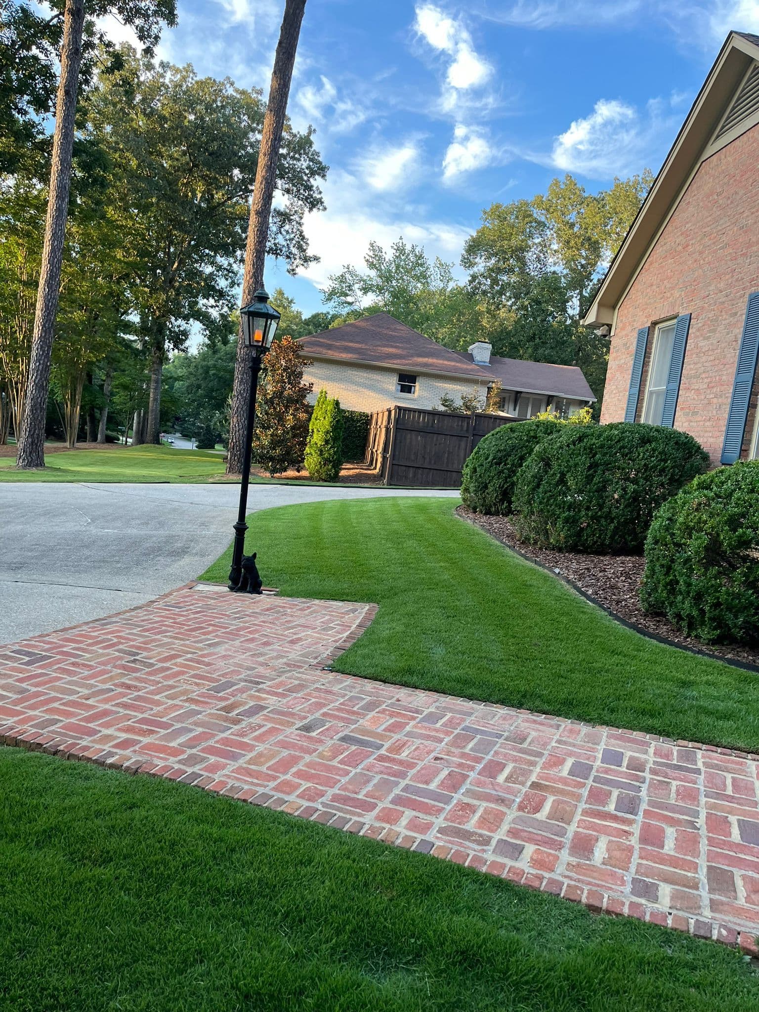 Revitalize Your Outdoor Space with Precision Landscaping image