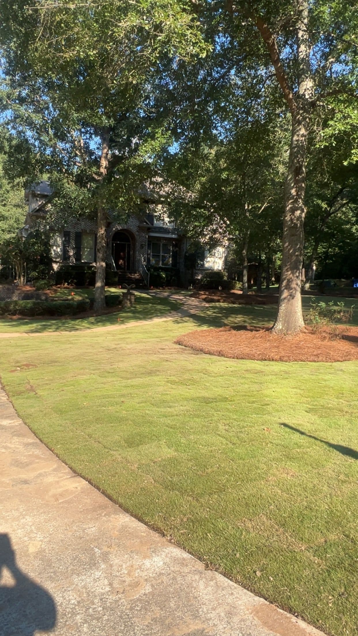 Project Stunning Lawn and Landscape Transformation image