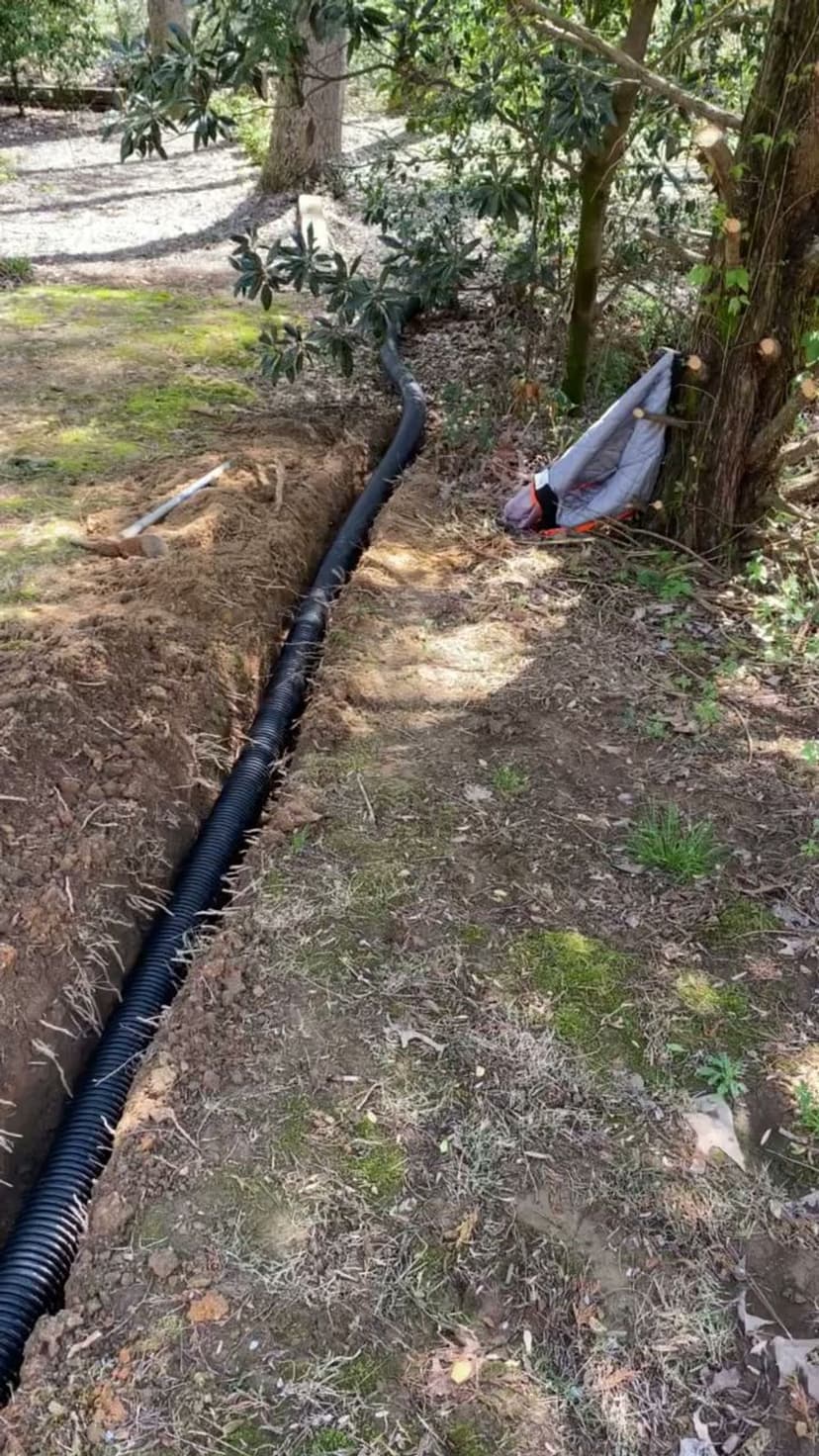 Best New Landscaping Company 2023's image