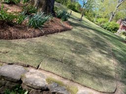 Innovative Landscaping Design Award's image