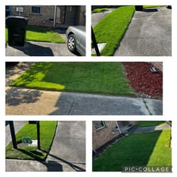 Eco-Friendly Landscaping Certification's image