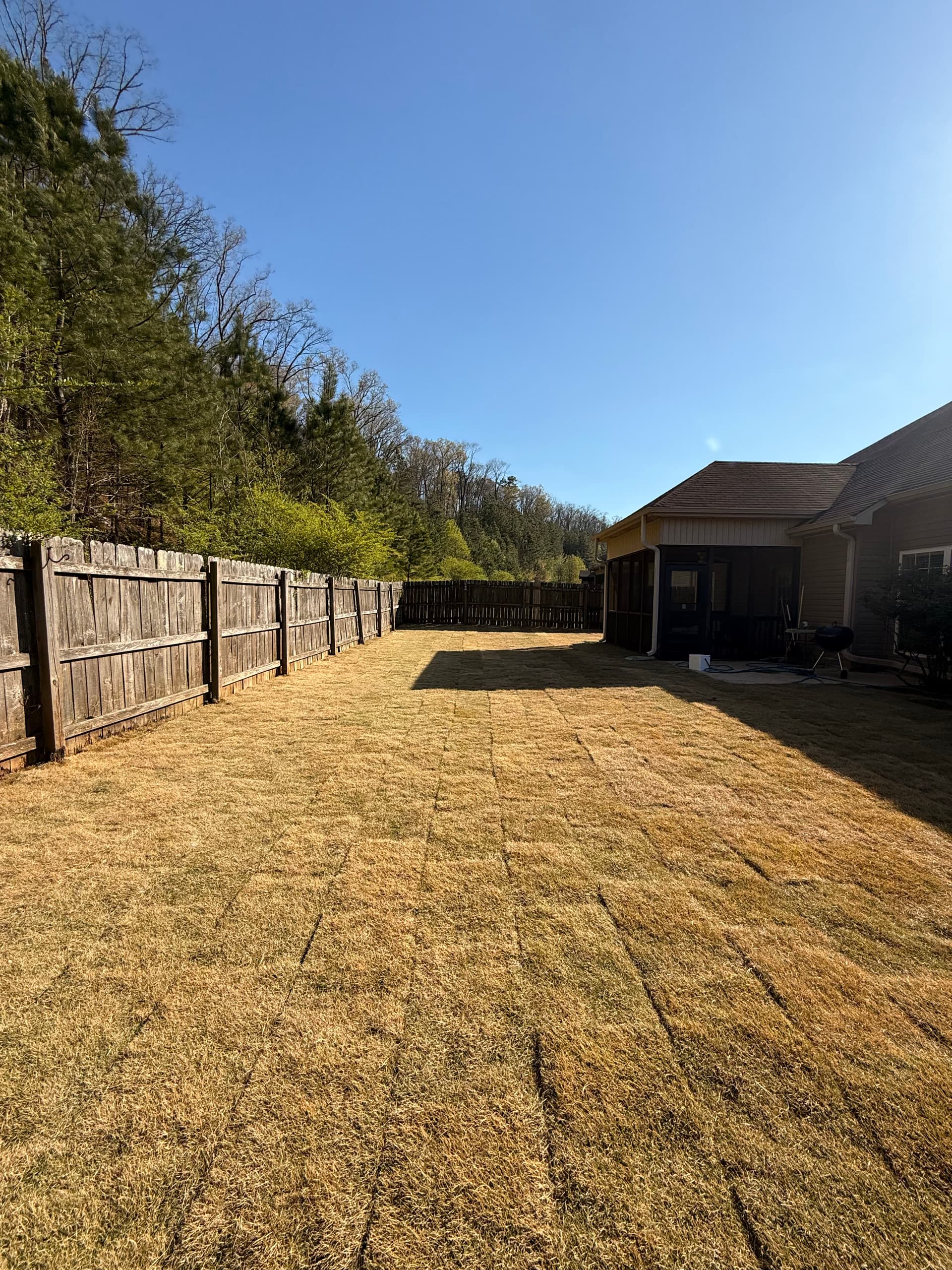 Gallery photos for Backyard Overhaul Lawn Care Success: Image #3