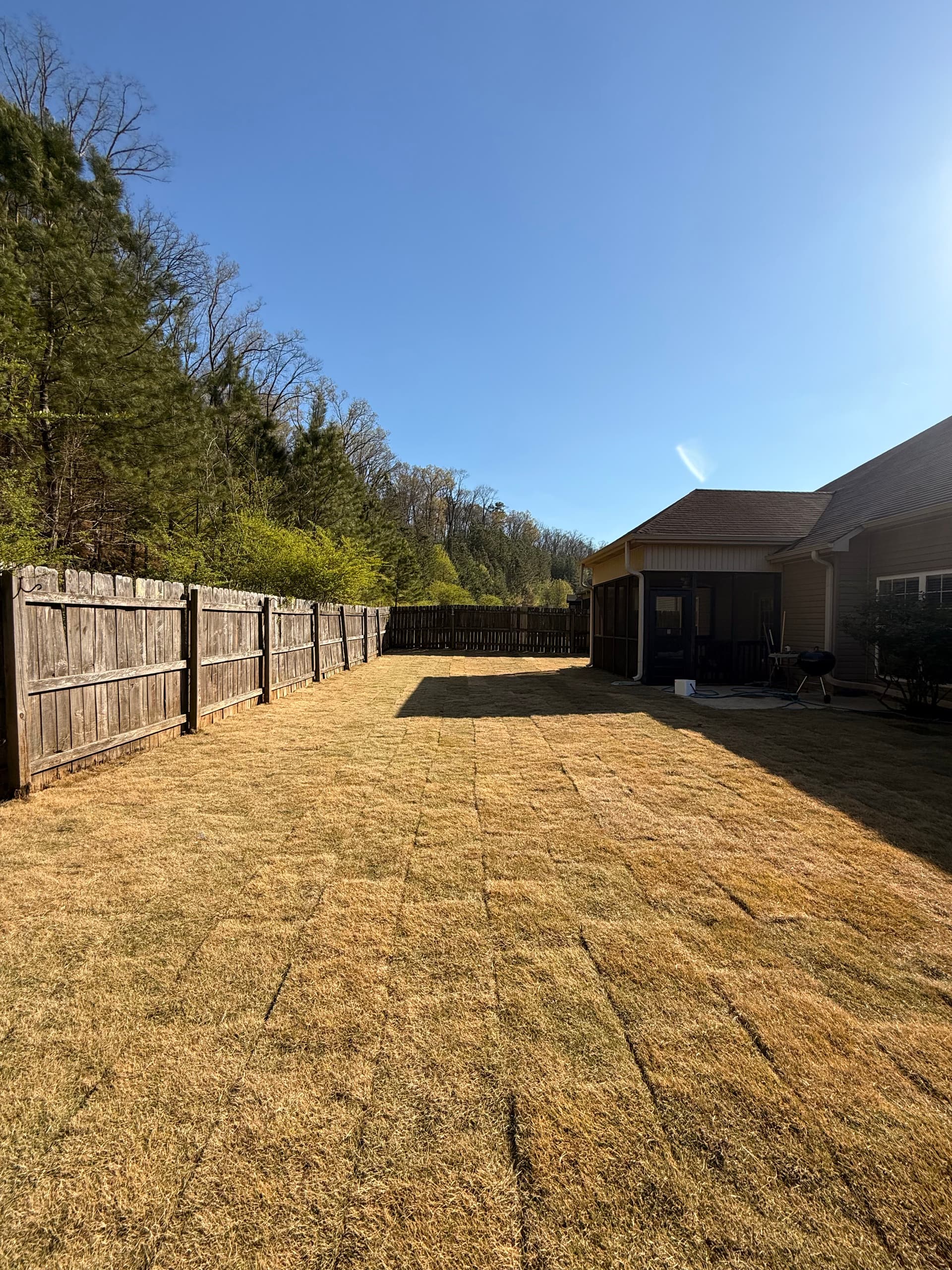 Gallery photos for Backyard Overhaul Lawn Care Success: Image #2