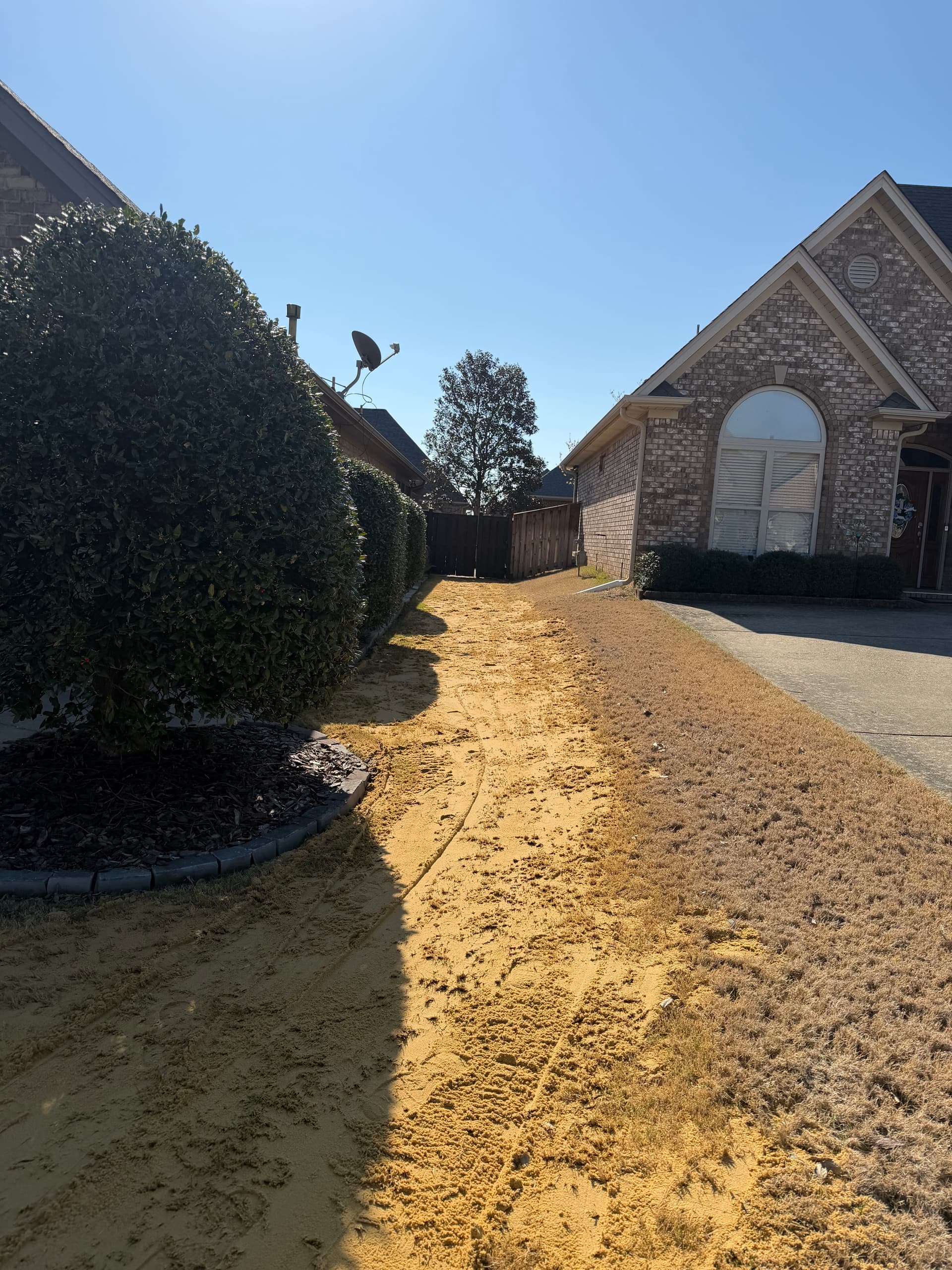 Gallery photos for Creating Level Lawns with Expert Care: Image #2