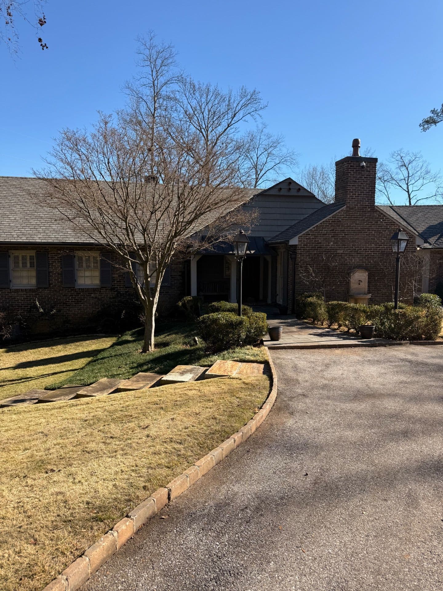 Stunning Yard Cleanup at Mountain Brook image