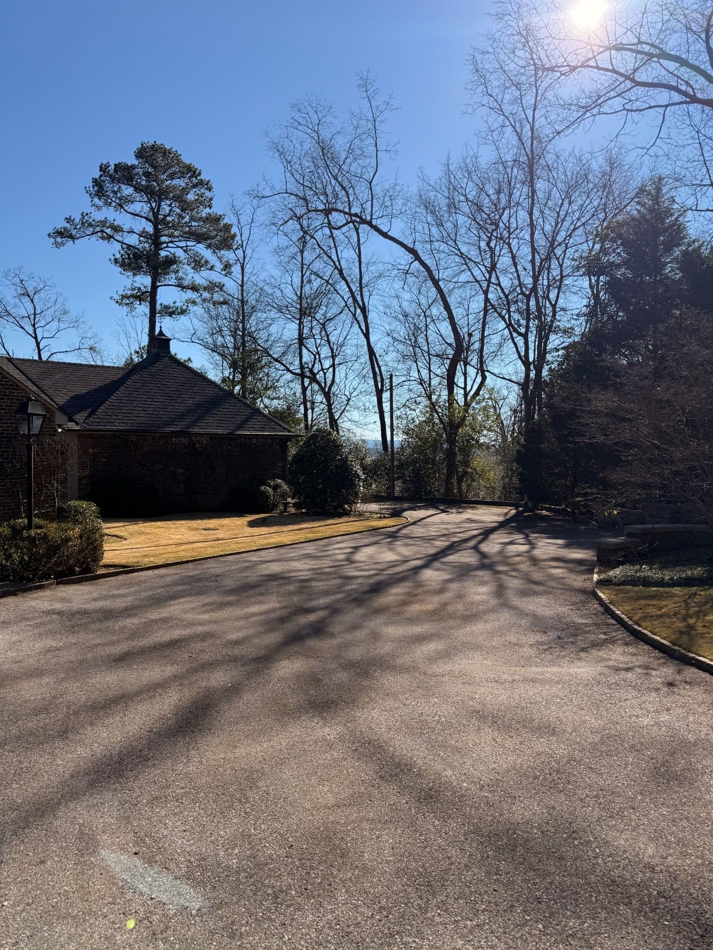 Gallery photos for Stunning Yard Cleanup at Mountain Brook: Image #1