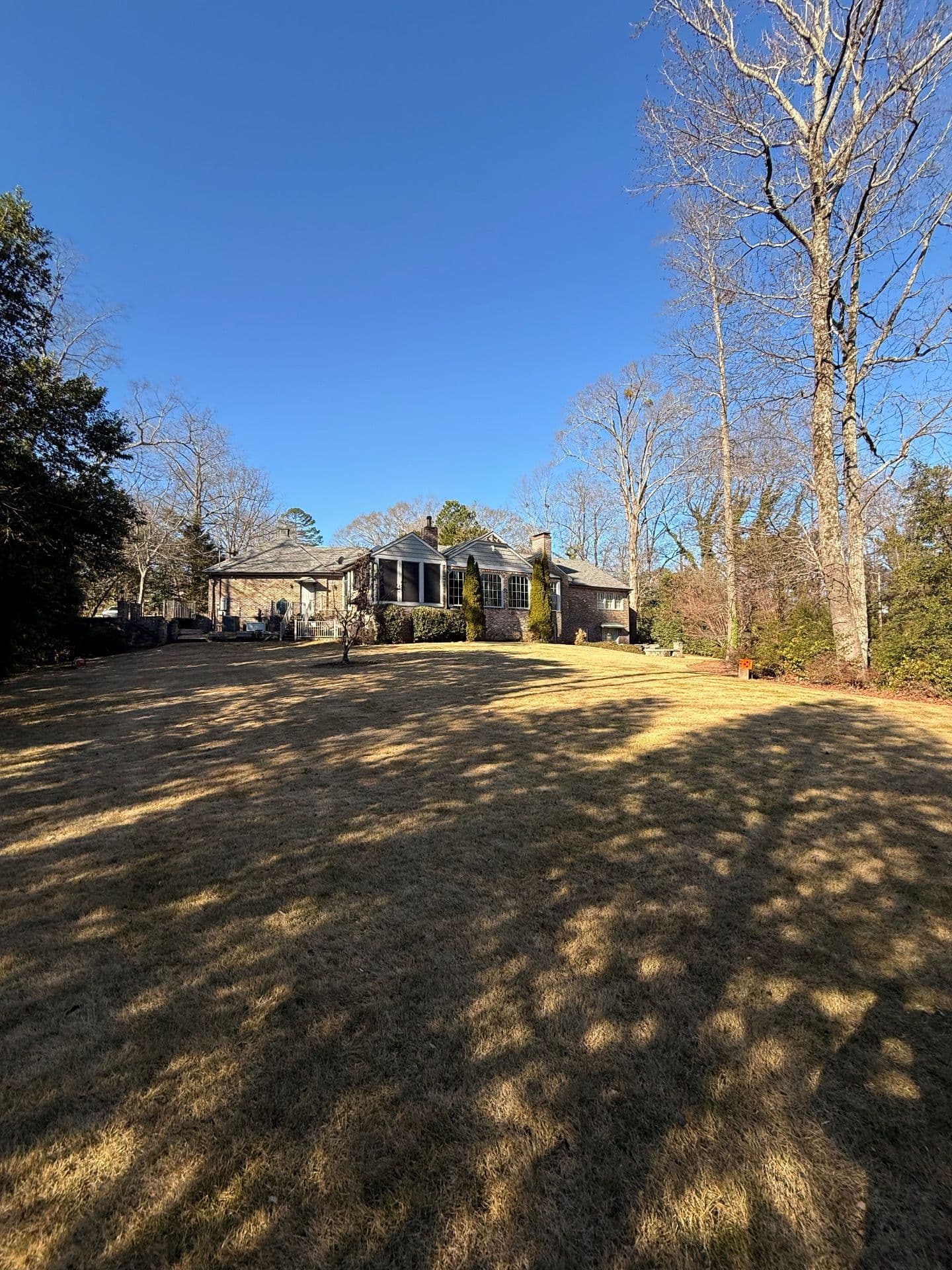 Gallery photos for Stunning Yard Cleanup at Mountain Brook: Image #3