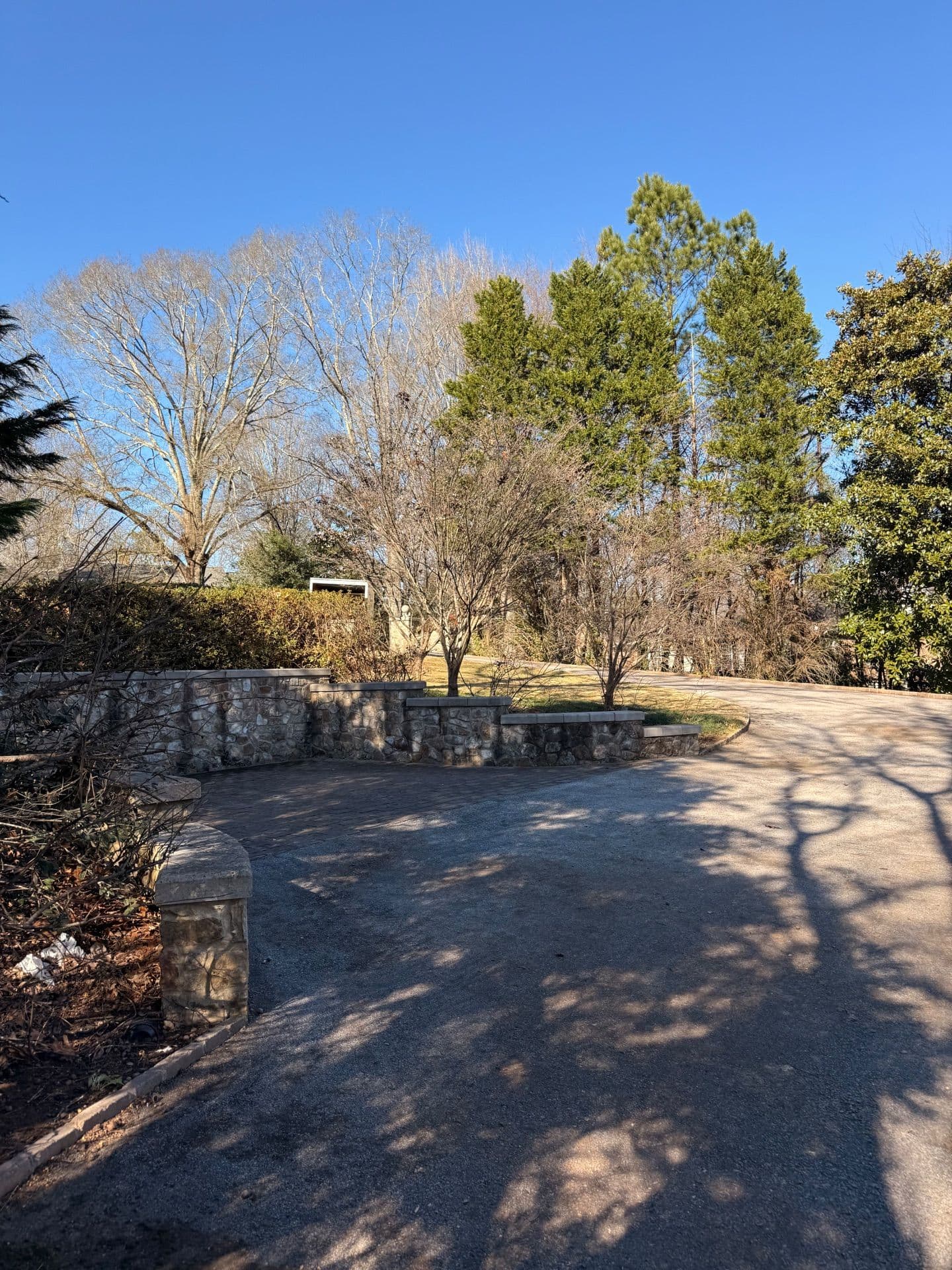 Gallery photos for Stunning Yard Cleanup at Mountain Brook: Image #5