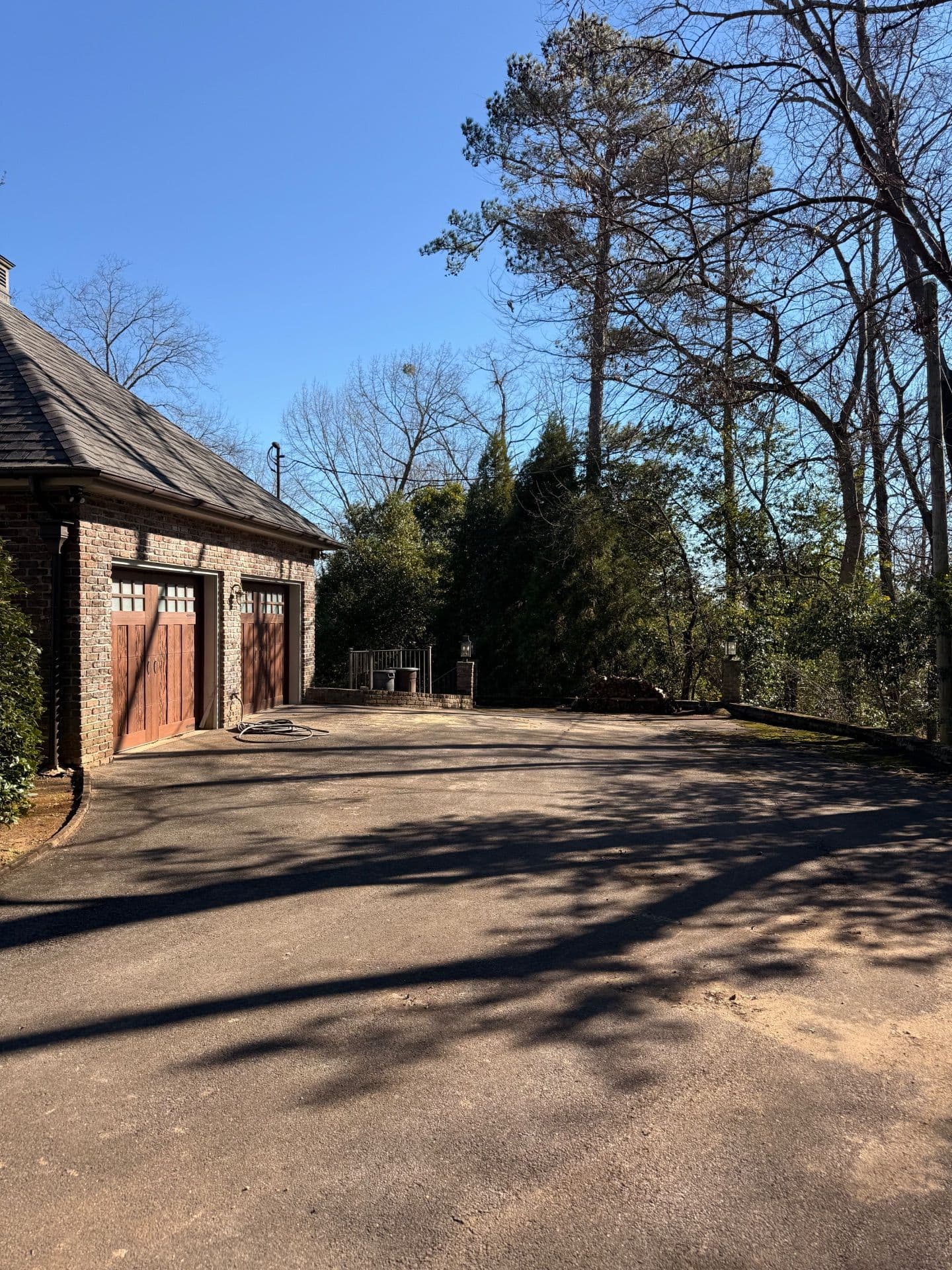 Gallery photos for Stunning Yard Cleanup at Mountain Brook: Image #6