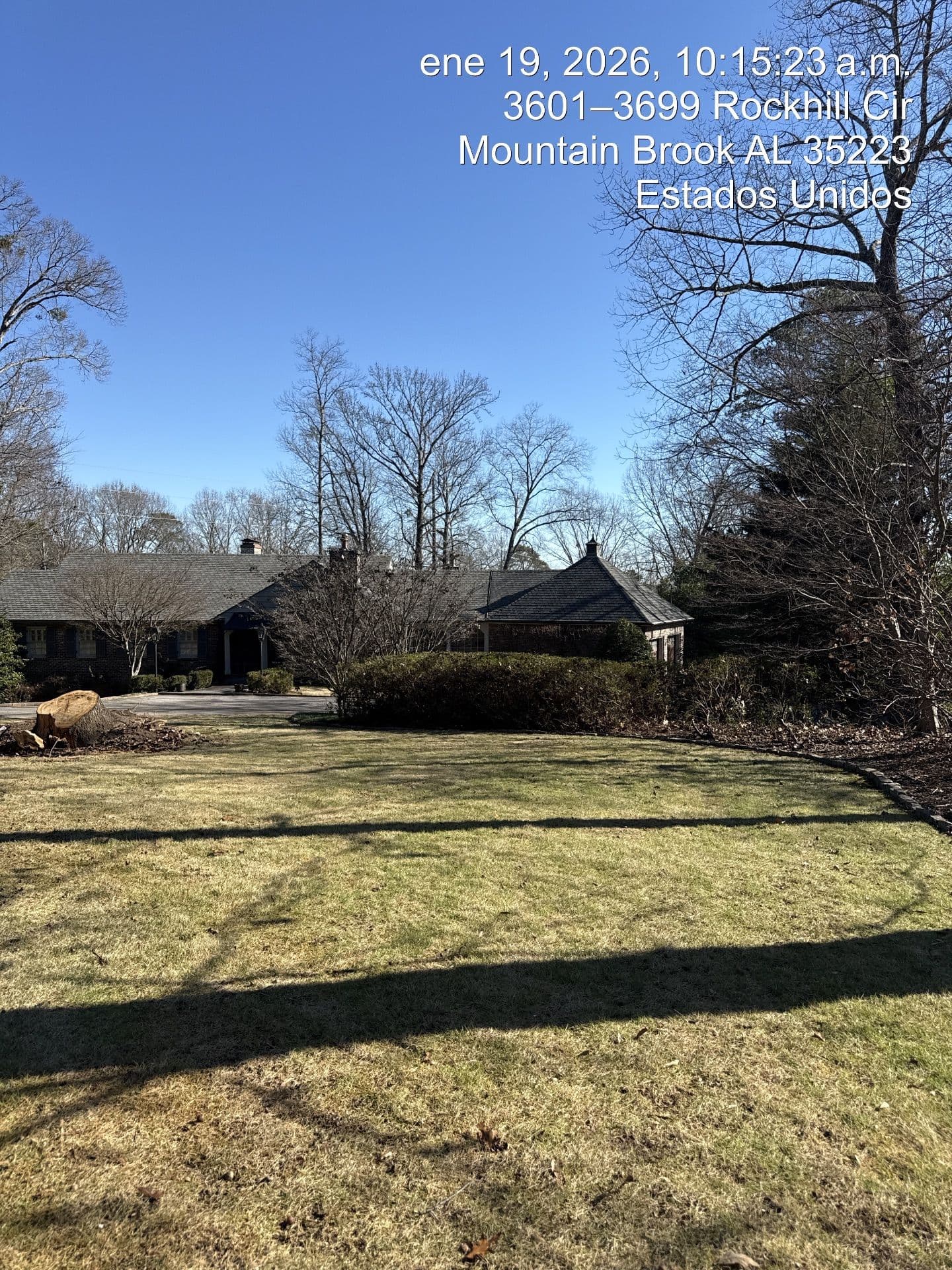 Gallery photos for Stunning Yard Cleanup at Mountain Brook: Image #7