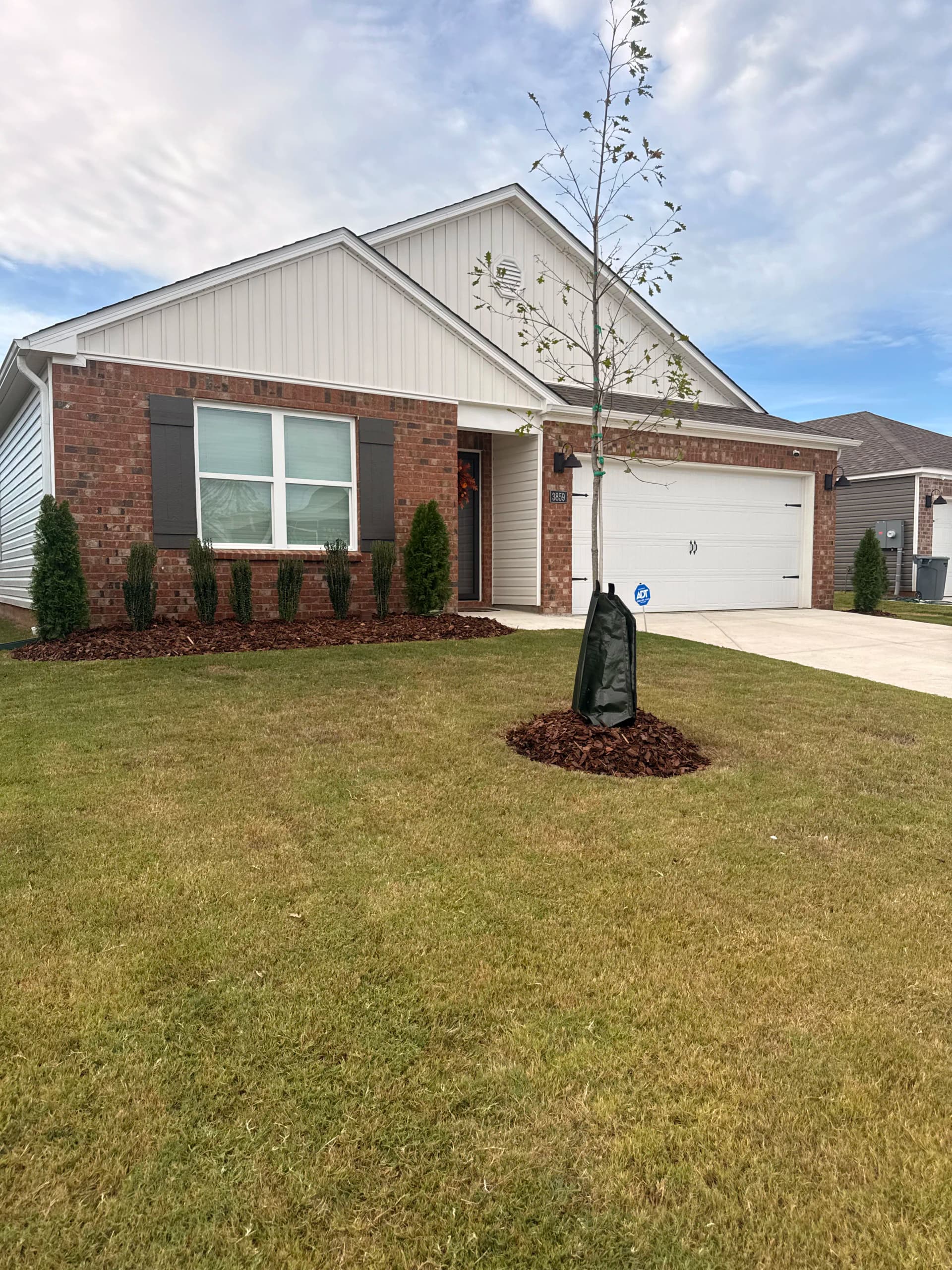 Gallery photos for Front Landscape Refresh That Actually Changed the Whole Look: Image #2